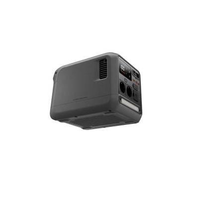 DJI POWER 1000 Mini (EU)